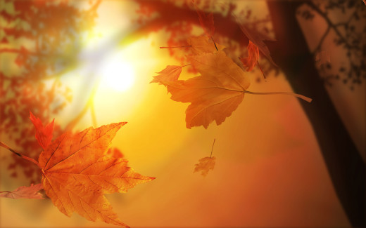 665801 (a): :1920x1200